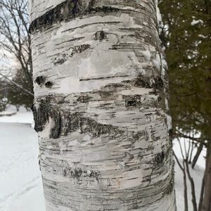 Meet your Posher, Chelsey